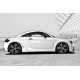 Комплект аэродинамического обвеса Regula Tuning GTRS для Audi TT (1998-2006)