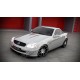 Сплиттер переднего бампера Mercedes R170 SLK (1996-2004)