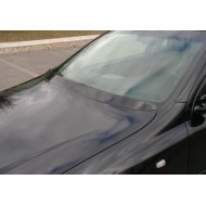 Жабо накладка на капот Opel Astra G (1998-2004)