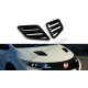 Комплект вентялиционных отверстий Honda Civic X Type R (2015-...)