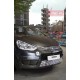 Металлическая решетка бампера Ford S-Max (2006-...)