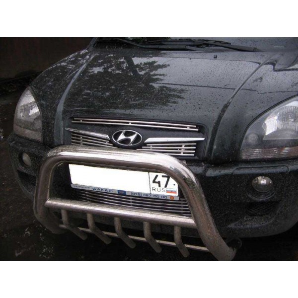 Металлическая решетка бампера Hyundai Tucson (2004-...)