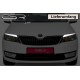 Ресницы накладки на фары Skoda Rapid (2012-...)