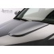Накладка на капот Hofele Power Dome Audi A4 B6 (2001-2004)