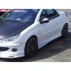 Накладки на пороги Peugeot 206 (1998-2010)